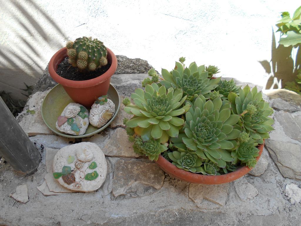 Apartment Ante Split Bagian luar foto